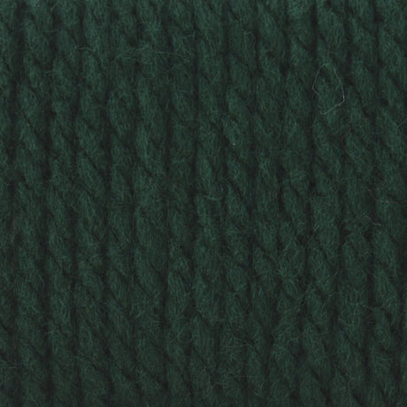 Bernat Softee Chunky Yarn