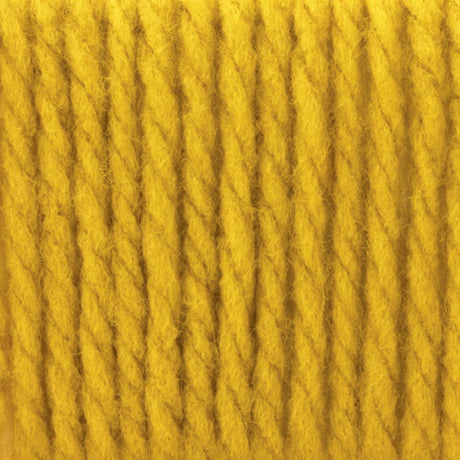 Bernat Softee Chunky Yarn
