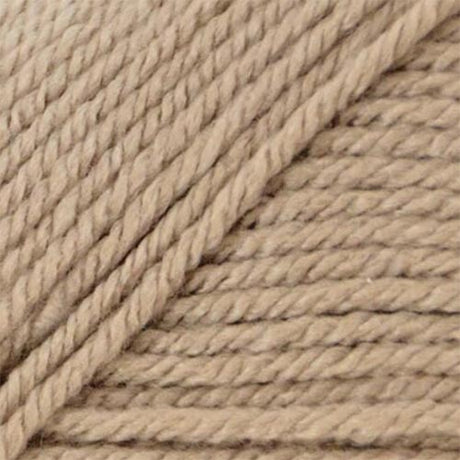 Premier Anti-Pilling Everyday Worsted Yarn